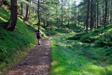 AMi - A spasso per l'Anfiteatro Morenico di Ivrea - Stagione 2023