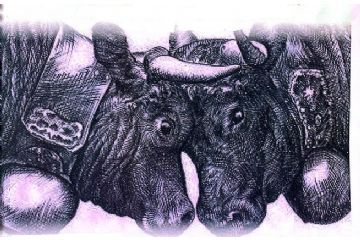 Battaglia delle Reines 2024